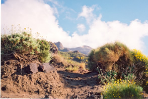 Path to the summit of Stromboli